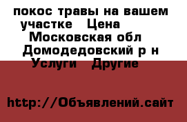 покос травы на вашем участке › Цена ­ 450 - Московская обл., Домодедовский р-н Услуги » Другие   